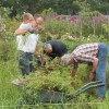 Een overwoekerde tuin op G wordt opgeruimd.