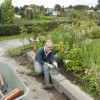 Voorzitter Ingrid Wagenaar aan het wieden