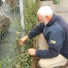 Gerrit Koopmans in de begeleiding