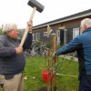 Jan Schulp plant met Sip de Ree een mooie morel bij het verenigingsgebouw