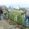 Tuinbeurt zaterdagmorgen 9 april, 9.00 uur