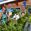 Schema vergaderingen, tuinbeurten en nieuwsbrieven