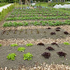 Zaterdag 20 april tuinbeurt met zon en regen